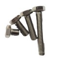 SS 316L 316 304 HEX BOLTS NUTS RAISE